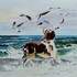 Michel Chagourin - Association de peinture - Huile/Aquarelle  - Image 10