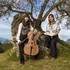 Duo Gabriel -  propose concerts chez particuliers 