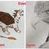Atelier Carré d'Art's  - Cours et stages dessin-peinture 100% personnalisés  - Image 12