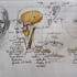 Stage de dessin : l'anatomie humaine - Image 2