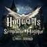 "Hogwarts Magic Symphony"