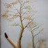 Association En Vie d'Artiste - Cours de dessin, d'aquarelle et de pastel - Image 6