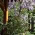 Le Jardin de Boissonna - Image 4