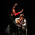 Vuelo Flamenco - Caroline Pastor