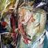 Atelier du canal -  Cours collectif de peinture et dessin - Image 4