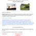 MARTINE LOURDEL - Cours de Qi Gong - Image 2