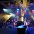 Patti Barnes & HARVEN - cherche concerts pour 2025 région Charente maritime - Image 3