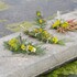 Un INSTANT de RESSOURCEMENT au JARDIN de l'Ile de Batz