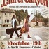 CONCERT MUSIQUE FOLK AMERICAINE ANNEES 1970