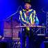 Valezic - Clown musicien (spectacle) - Image 3