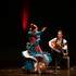Vuelo Flamenco - Caroline Pastor - Image 2