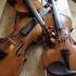 TERRE DE SONS - COURS DE VIOLON TRADITIONNEL