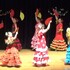 Association La Conciencia - Cours de danse Flamenco  - Image 11