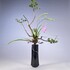 L'art floral japonais : un moment de zen et de contemplation - Image 2