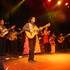 Gitano Family en Concert