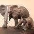 Bernard animateur - Atelier de modelage sculpture.