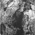 Louise GROS - Cours de GRAVURE Taille-Douce - TOUS NIVEAUX - Image 2