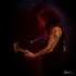 Nayi - concert - Image 4