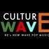 CULTURE WAVE - Soirée New Wave années 80