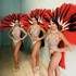 FABULOUS SHOW - SPECTACLE CABARET - Image 8