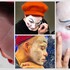 Compagnie D'Accord - Le Clown: Du Corps à la Scène