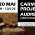 Carmela's Project au DB