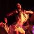 LCP Productions - Spectacle Maracudja - Image 9