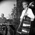 Collectif BCD - Groupe Jazz, Bossa ...