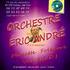 orchestre eric andre - de 1 a 5 musiciens folklore musette et variete en dj  - Image 4