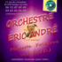 orchestre eric andre - de 1 a 5 musiciens folklore musette et variete en dj  - Image 4