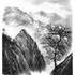 STAGE DESSIN au FUSAIN de paysages – photo 2