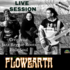 Groupe Flowearth - jazzy reggae folk soul  - Image 2