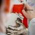 L'Atelier d'Annie-Claire - Cours de dessin et peinture - Image 10