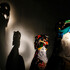 Visites guidées nocturnes à la lampe torche