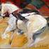 Béatrice Avenel  - Professeur d'arts plastiques, artiste peintre - Image 3