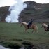 Islande, le galop de feu
