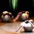 MAISON DES JEUNES ET DE LA CULTURE  - Cours de danse