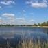 Observatoire de l'Etang Neuf (Domaine du Plessis)