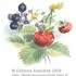 Stages d'aquarelle dans un village ancien de l'aube - Image 4