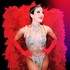 FABULOUS SHOW - SPECTACLE CABARET - Image 16