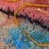 Stage Créations  ACRYFIL  - Image 29