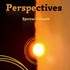 Perspectives