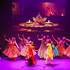 SPECTACLE DE DANSE INDIENNE  - Image 3