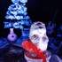 Un Noël en Forêt - conte musical de noel pour les 0-6 ans