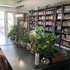 Atelier Carré d'Art's | Stage de dessin et peinture | Gif-sur-Yvette – photo 2
