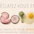 Tiphaine Legoupil tile Design - identité visuelle -  graphisme - Image 2