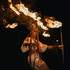 Gwam Art - Compagnie de spectacles et arts visuels - Image 2