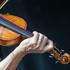 David Bonnin - Concerts et animations musicales - Image 10