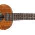 JAZZ BOND ASSOCIATION - ATELIER DE UKULELE