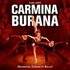 Carmina Burana - Ballet, Choeurs et Orchestre